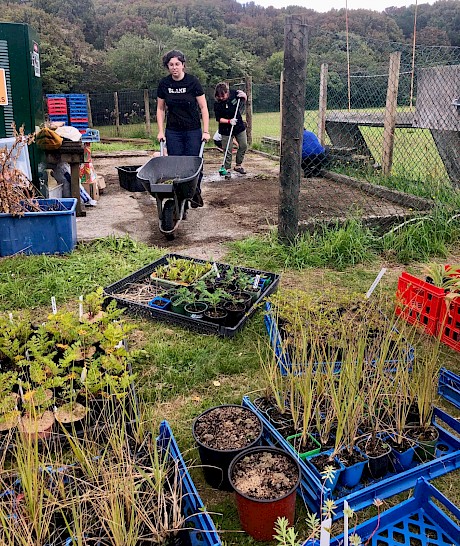 Ad hoc volunteer working bees are organised to assist the facility upgrades and care of the plant stock.