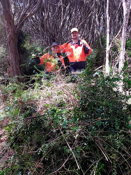 Restoring Rakiura’s work to remove invasive weeds provides continuity beyond the scope of the war on weeds project and will help to prevent reinvasion